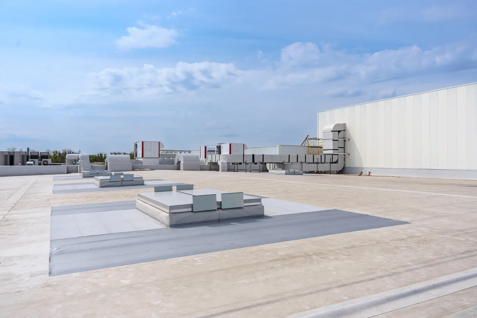 Commercial Roof