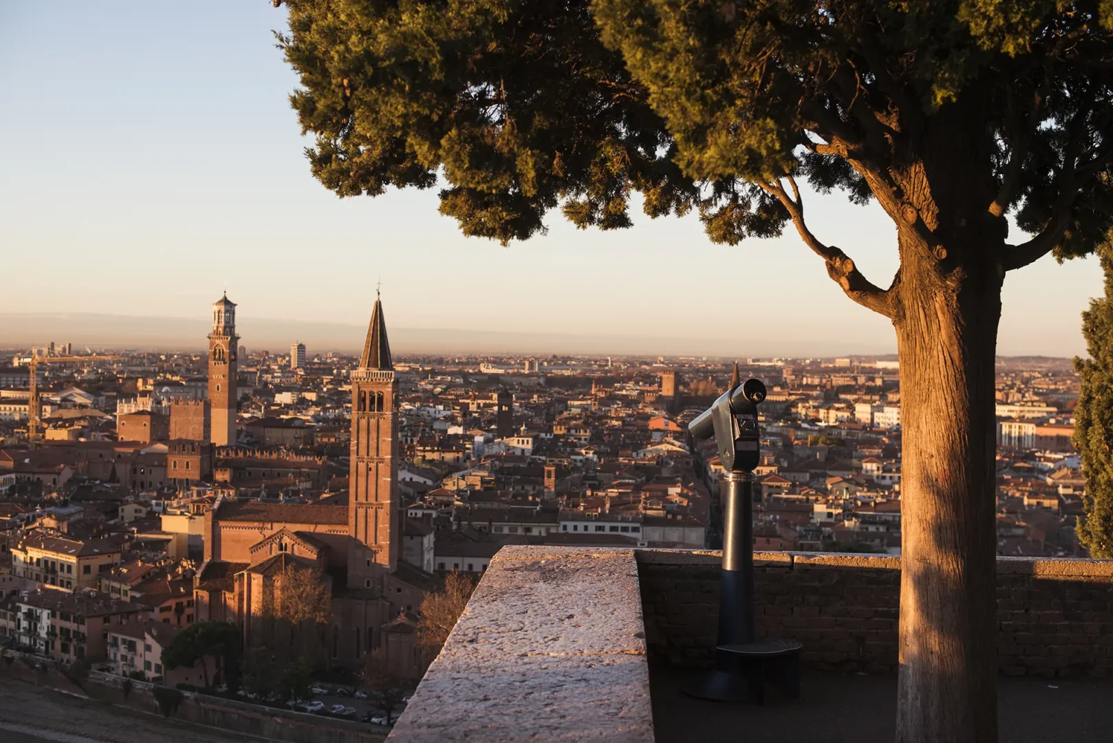 Verona Roots